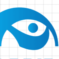 DOSI-Bridge Logo - Digital Operations & Software Innovation